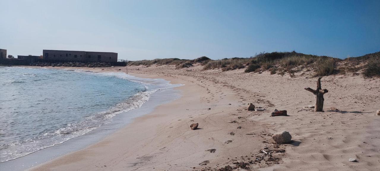 Casa Vacanza In Pieno Centro Storico Vicino Ostuni E La Riserva Di Torre Quaceto 圣维托诺曼 外观 照片