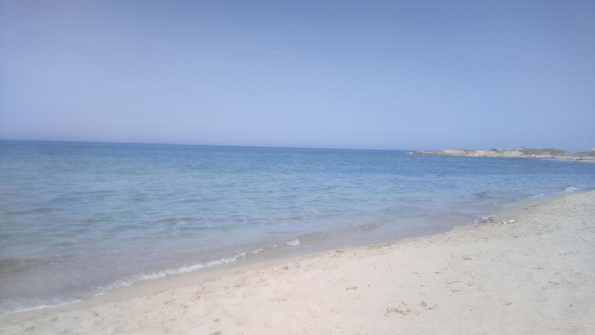 Casa Vacanza In Pieno Centro Storico Vicino Ostuni E La Riserva Di Torre Quaceto 圣维托诺曼 客房 照片